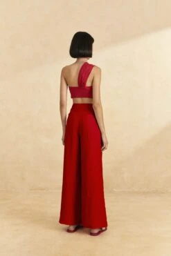 Farm Rio Red High Waist Pants 11 Farm Rio Red High Waist Pants -Farm Rio 317223 04